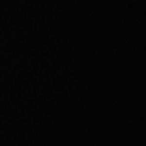 Meet your Posher, Alexus